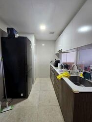 The Lakefront Residences (D22), Condominium #557955471